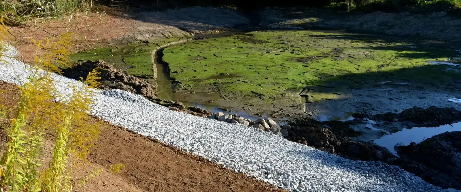 Gravel Road Mossy Water